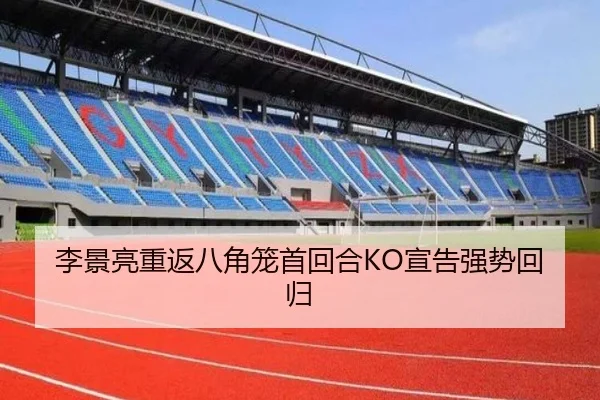 李景亮重返八角笼首回合KO宣告强势回归