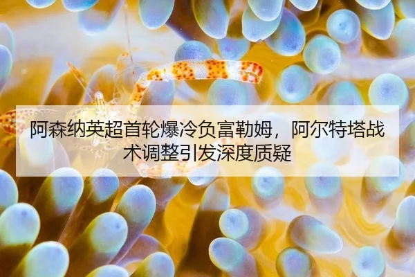 a-sen-na-ying-chao-shou-lun-bao-leng-fu-fu-lei-mu-a-er-te-ta-zhan-shu-tiao-zheng-yin-fa-shen-du-zhi-yi-3-222.jpg